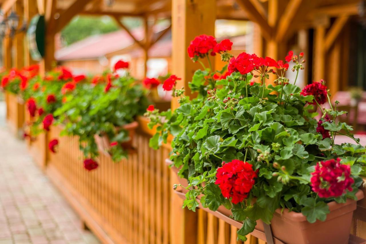 Lipicai Hotel Es Etterem Szilvasvarad Bagian luar foto