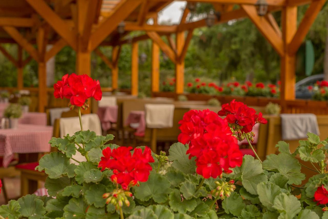 Lipicai Hotel Es Etterem Szilvasvarad Bagian luar foto